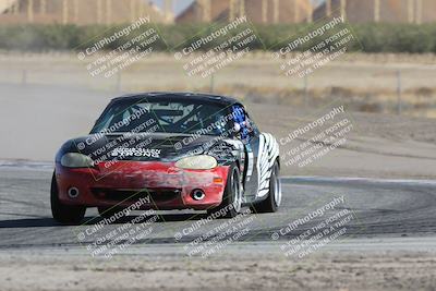 media/Oct-21-2023-Speed Ventures (Sat) [[ddf75163c5]]/Green/Grapvine/